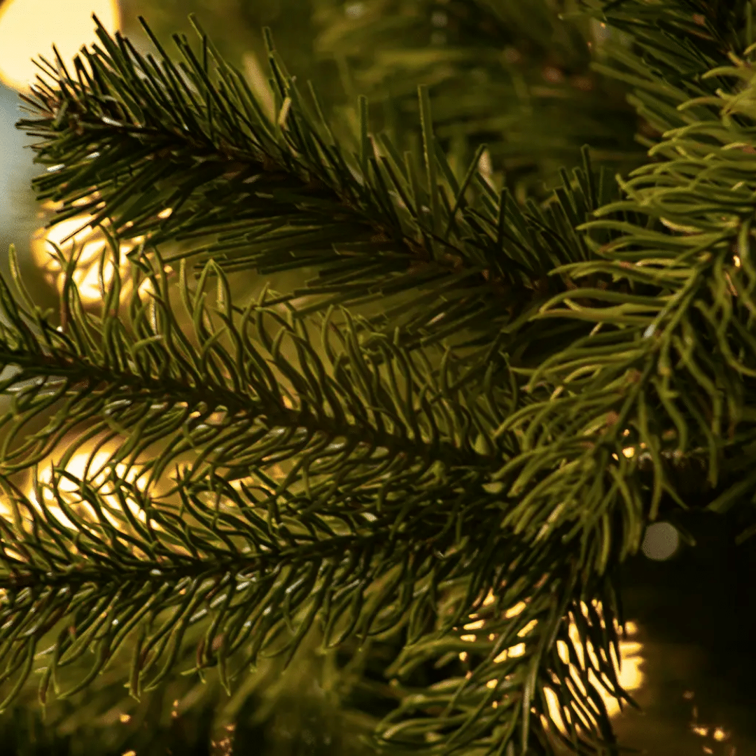 Feel Real Newberry Spruce tips