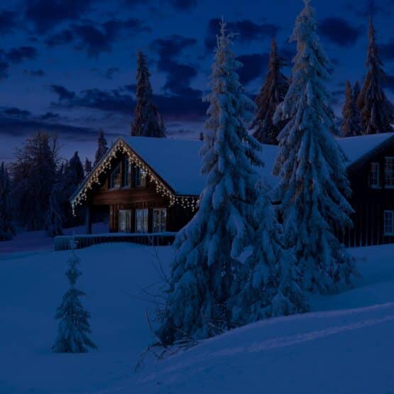 Buy 259 Micro LED Icicle Warm white twinkle outdoor christmas lights. Winter white glow