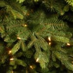 7.5ft Carrington Fir Slim Pre-Lit Details - Artificial Christmas Tree For Sale Dublin Ireland
