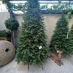 10ft Feel Real Bosworth Spruce Artificial Christmas Tree Pre-Lit - Christmas Trees For Sale Dublin