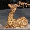 FDL Deer Sitting - Christmas Lights For Sale Dublin Ireland