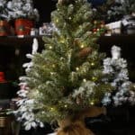 3ft Snowy Concolor Artificial Christmas Tree For Sale Dublin