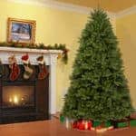 7.5ft Newberry Spruce Un-lit Artificial Christmas Tree For Sale Dublin Ireland