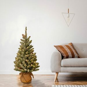 3ft Snowy Concolor Fir Pre-Lit Artificial Christmas Tree - Christmas Trees For Sale Dublin