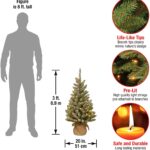 3ft Snowy Concolor Fir Pre-Lit Artificial Christmas Tree - Christmas Trees For Sale Dublin Ireland