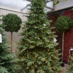 Valencia Fir Pre-Lit Artificial Christmas Tree - Xmas Trees For Sale Dublin