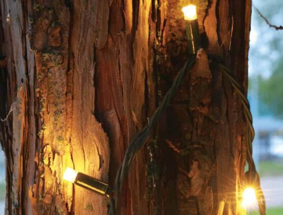 FDL XL 100 Led Extendable Warm White Christmas Lights - Outdoor Xmas Lights For Sale Dublin