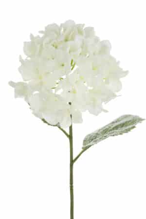 Christmas Decoration Snowstorm Hydrangea Steam