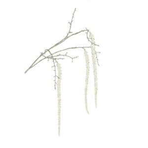 Winter Amaranthus Spray