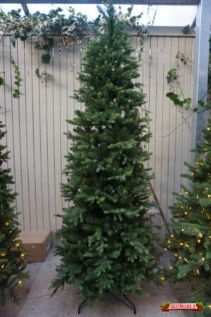 Slim Christmas Trees