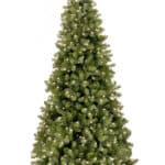 Bayberry Slim Christmas Tree - Christmas Trees For Sale Dublin