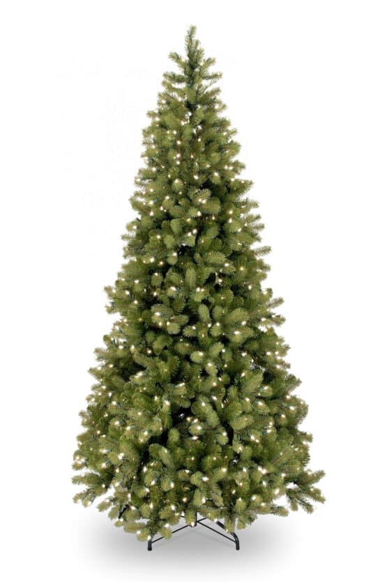 Bayberry Slim Christmas Tree - Christmas Trees For Sale Dublin