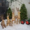 LED Outdoor Reindeer - Christmas Decorations For Sale Dublin