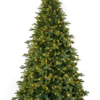 Cumberland Fir Christmas Tree - Christmas Trees For Sale Dublin