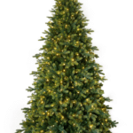 Cumberland Fir Christmas Tree - Christmas Trees For Sale Dublin