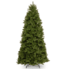Newberry Spruce Slim - Christmas Trees For Sale Dublin