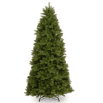 Newberry Spruce Slim - Christmas Trees For Sale Dublin