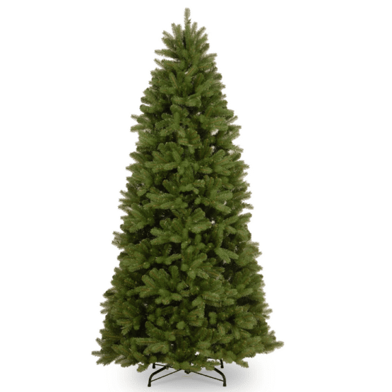 Newberry Spruce Slim - Christmas Trees For Sale Dublin
