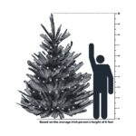 10 foot Tree Size Comparison