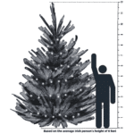 12 Foot Tree Size Comparison