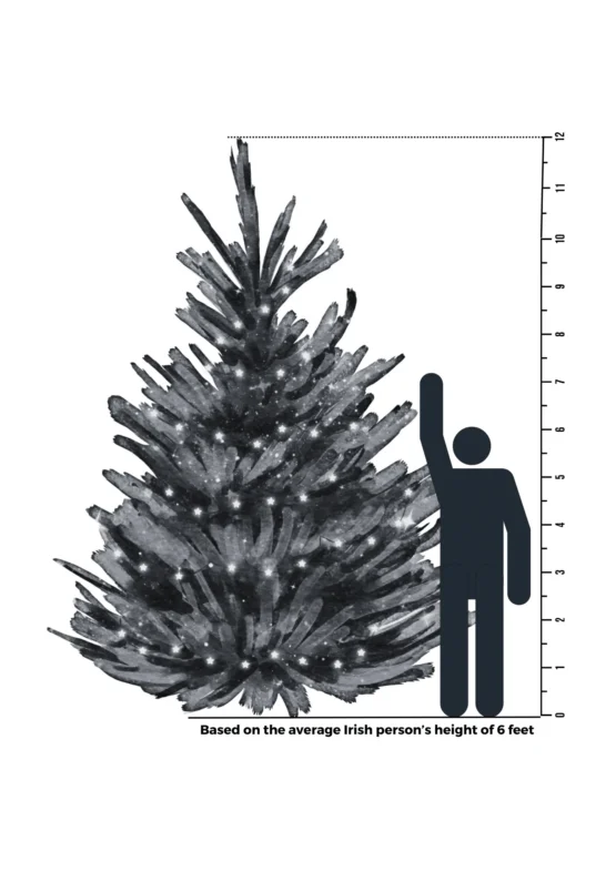 12 Foot Tree Size Comparison