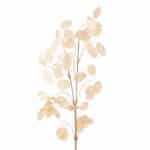 Silver Dollar Eucalyptus Spray - Pearl - Christmas Decoration for Sale in Ireland