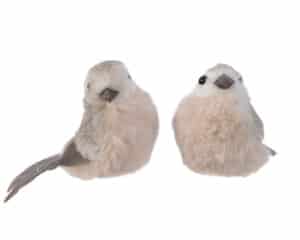 Birds With Feathers On A Clip With Glitter