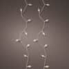 240 LED Vintage White Twinkle Lights - Christmas Lights - Christmasland