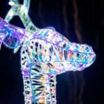 125cm Iridescent Reindeer Family with 200 White Lights - Image Head- Christmas Decor - Christmasland