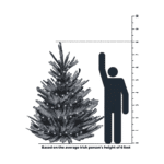 ChristmasLand.ie 8 Foot Tree Size Comparison