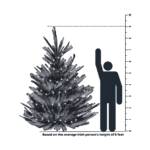 9 Foot Tree Size Comparison