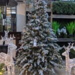 Dorchester Pine Pre-Lit Artificial Christmas Tree - Christmasland