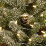 Snowy Concolor Fir in Burlap with 50 Soft White LEDs