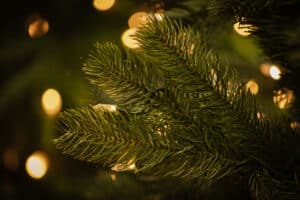 Bayberry Spruce Pre-Lit Garland with Warm White LED Lights
