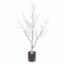 Scandi Cedar Tree in Pot - Christmas Trees