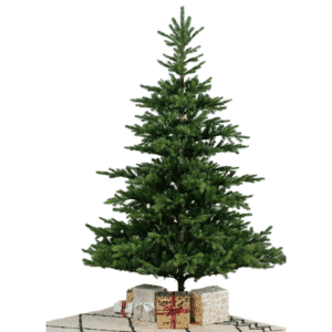 Grandis Fir - Sustainable Artificial Christmas Trees for Sale in Dublin from Christmasland