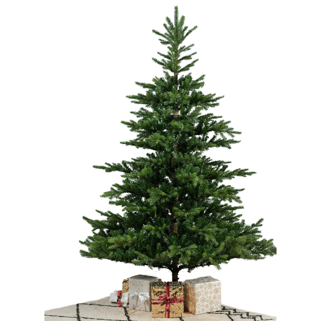 Grandis Fir - Sustainable Artificial Christmas Trees for Sale in Dublin from Christmasland
