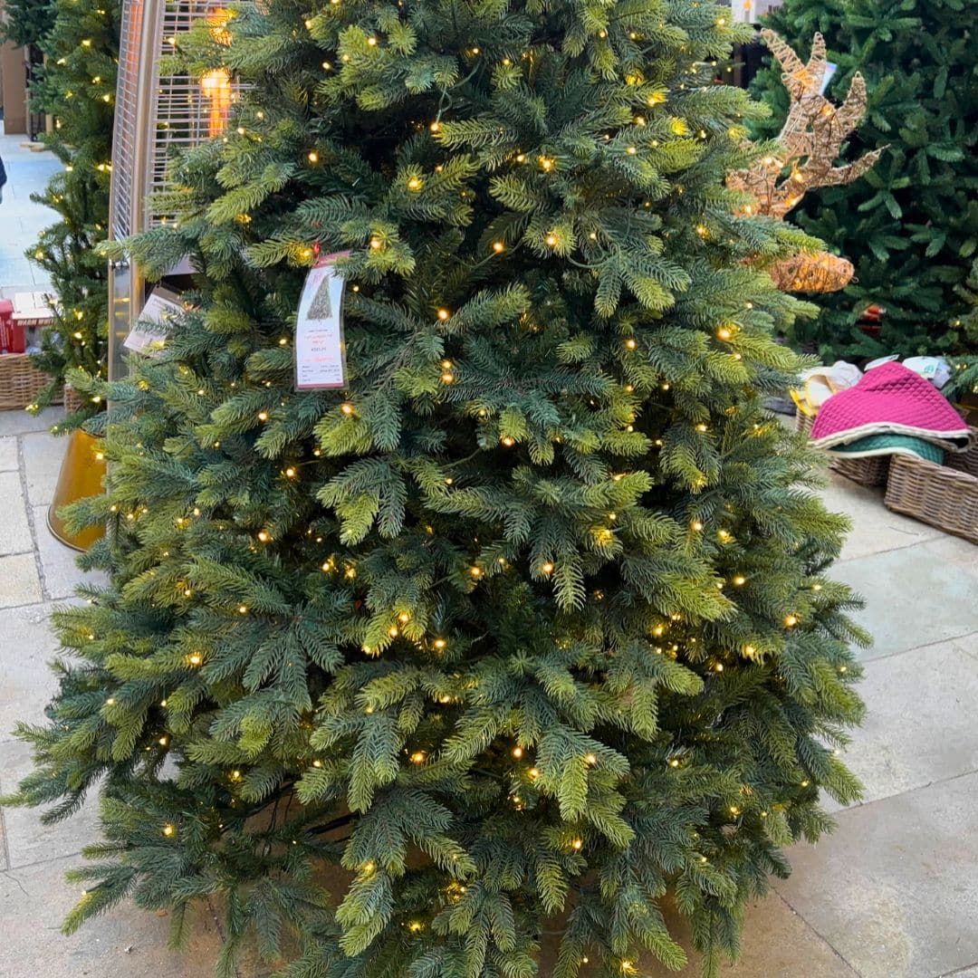 Alpbach 7.5ft Christmas Tree for sale from Christmasland Dublin Ireland