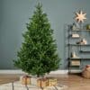 Nordman Fir, Christmasland.ie for sale in Ireland