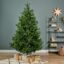 Nordman Fir, Christmasland.ie for sale in Ireland