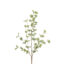 Eucalyptus Spray 85cm