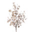 Metallic Eucalyptus Spray