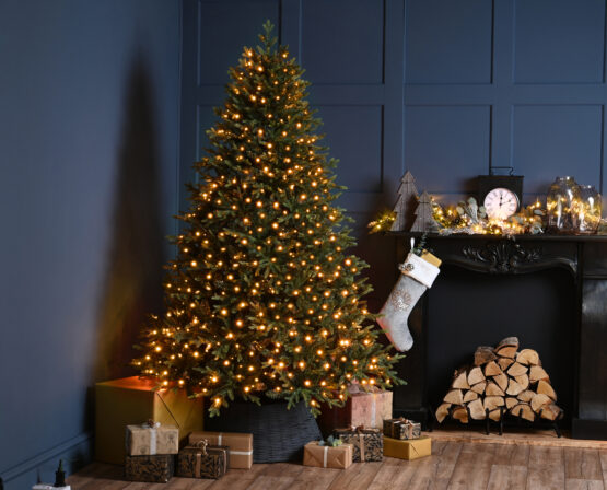 2000 Firefly Warm white Compact Christmas Tree Lights for sale from Christmasland Dublin, Ireland. Fast delivery, premium customer service from Irish business.