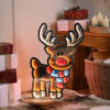 Buy 120cm Cute Reindeer Infinity LED lights - Christmas Window decoration From Christmasland.ie Dublin, Ireland