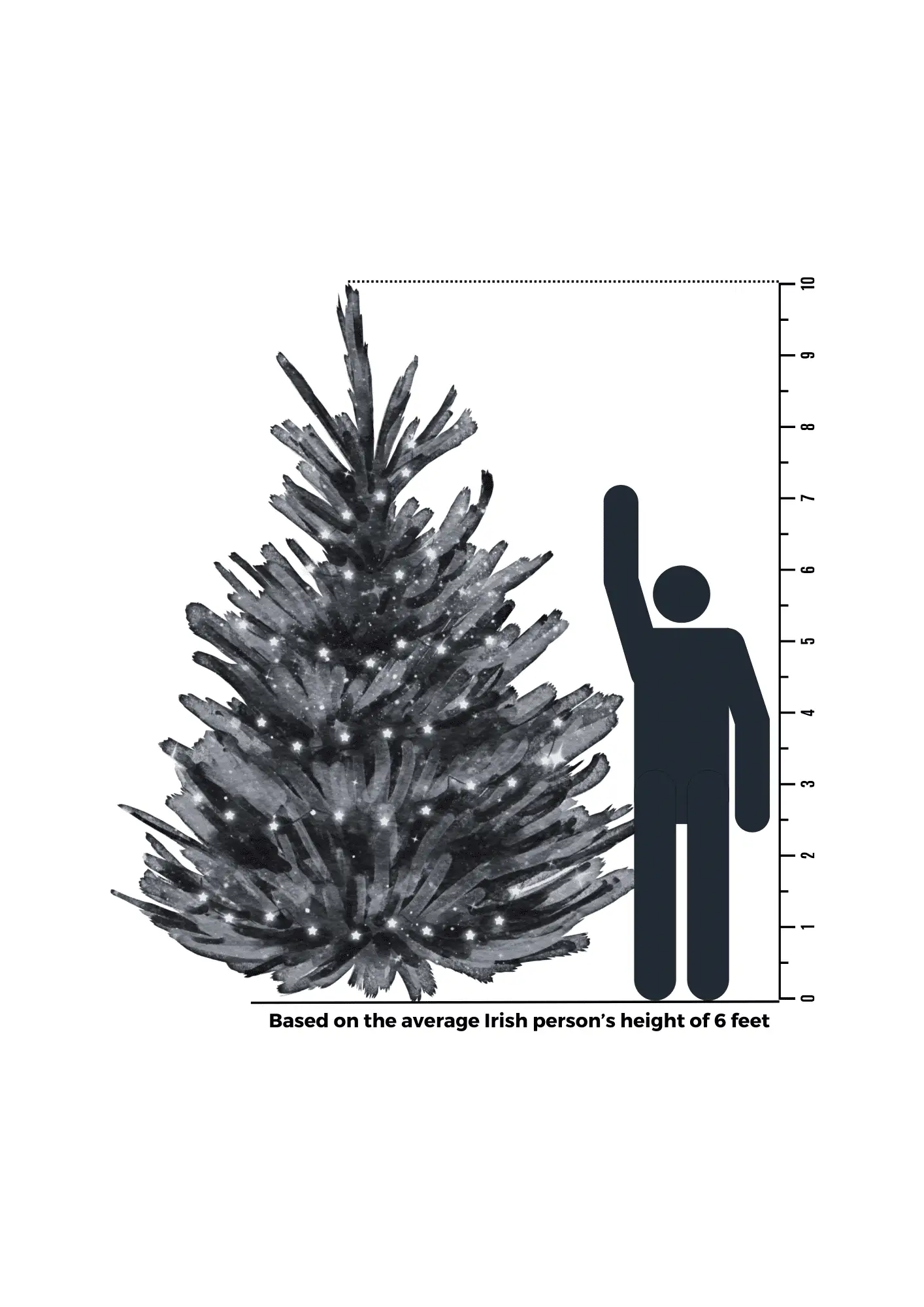 10 foot Tree Size Comparison