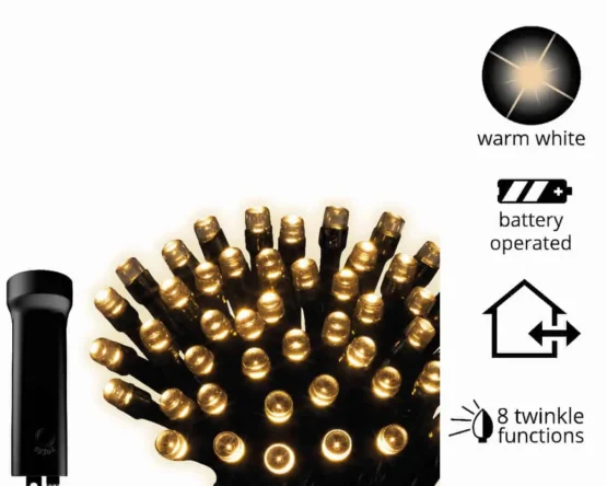 Battery Operated Christmas Lights Warm White Black Cable