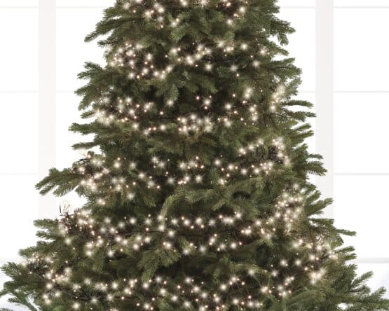 2040 LED Twinkle Cluster Warm White Outdoor Christmas Lights on Christmas Tree, Irealnd