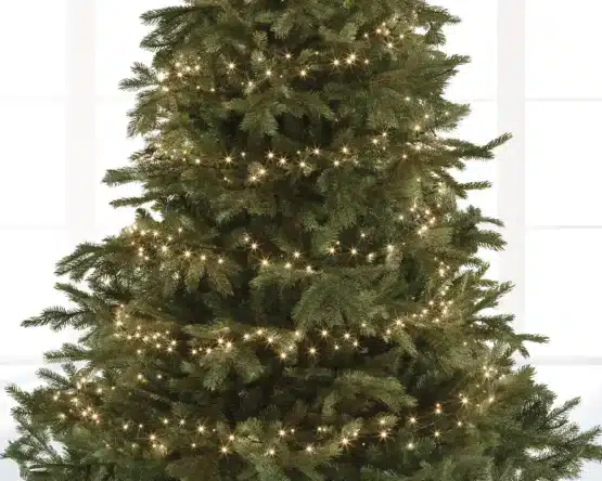 750 LED Warm White Compact Twinkle Christmas Lights - Christmas Lights For Sale Dublin