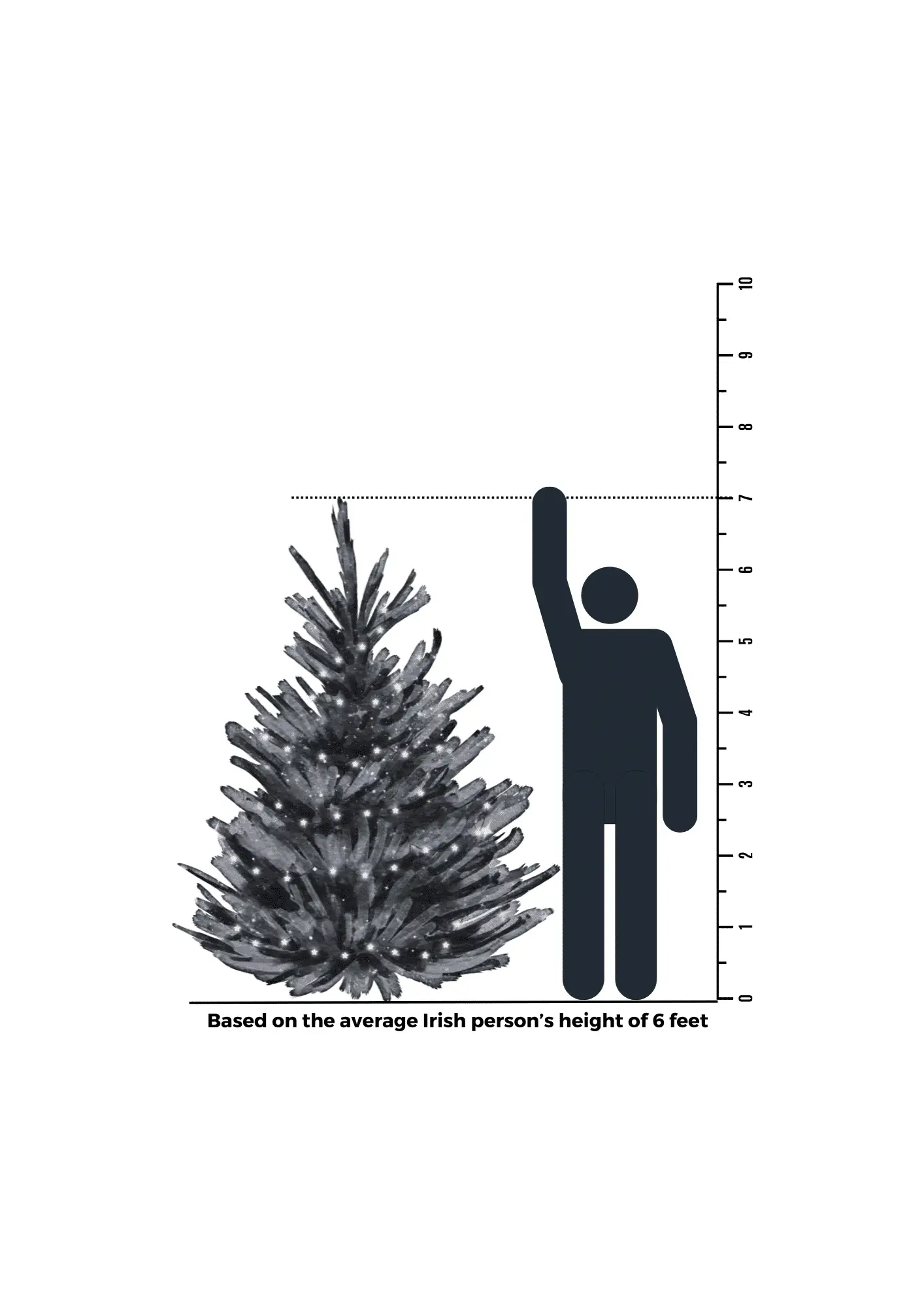 7 Foot Tree Size Comparison