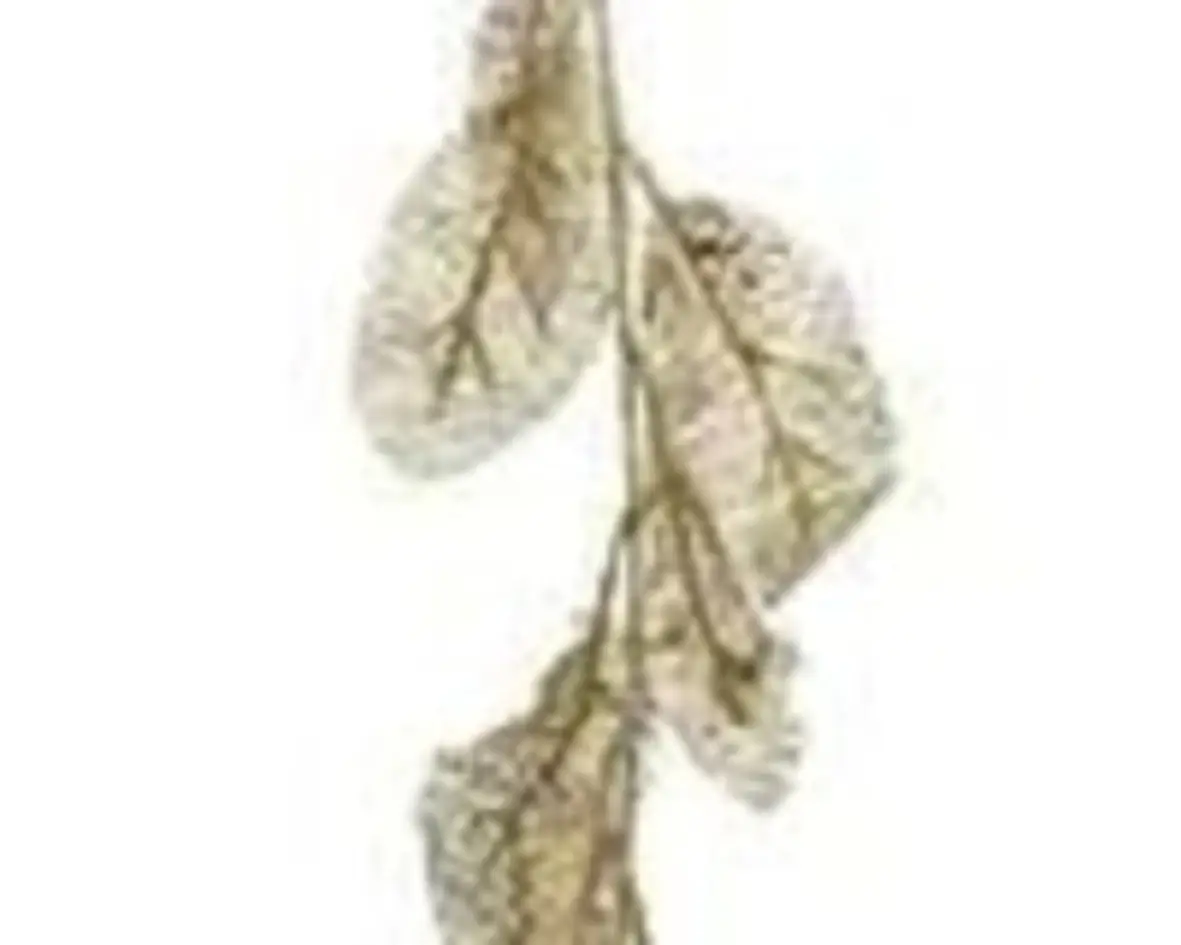 Polyester Garland available for sale at Christmasland.ie in Ireland best Christmas shop.